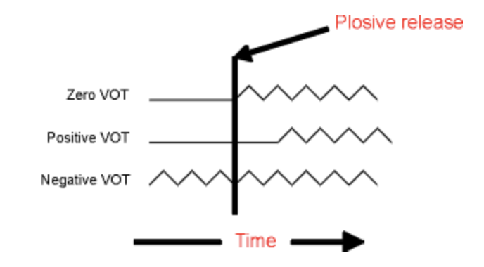 Voice Onset Time (VOT) – INLP Linguistic Glossary