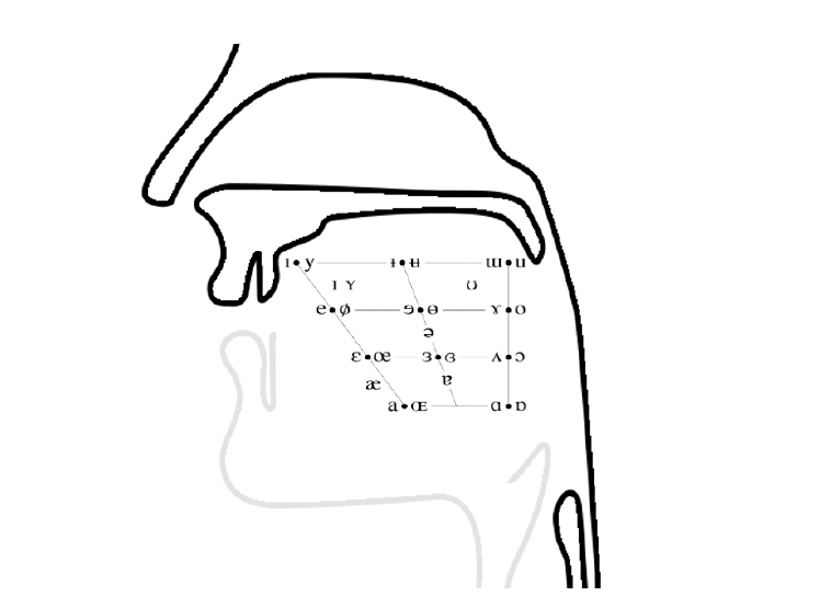 International Phonetic Alphabet (IPA) – INLP Linguistic Glossary